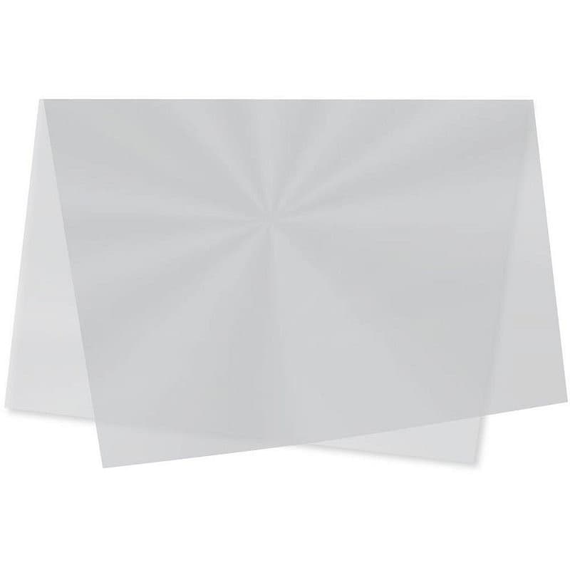 Sujinho Poli Liso 49X69CM Incolor - Pacote com 50 Unidades