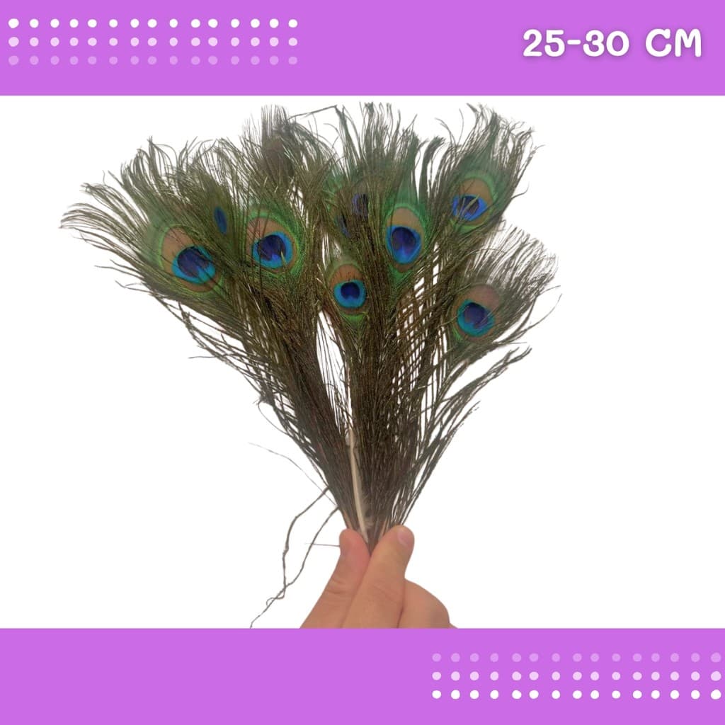 10 Penas de Pavão Natural - Tam: 25-30cm Artesanato, Cocar, Decoração