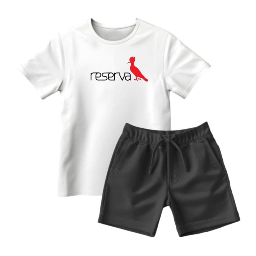 Conjunto Infantil Juvenil Masculino Básico Camiseta Algodão Kit Menino Passeio