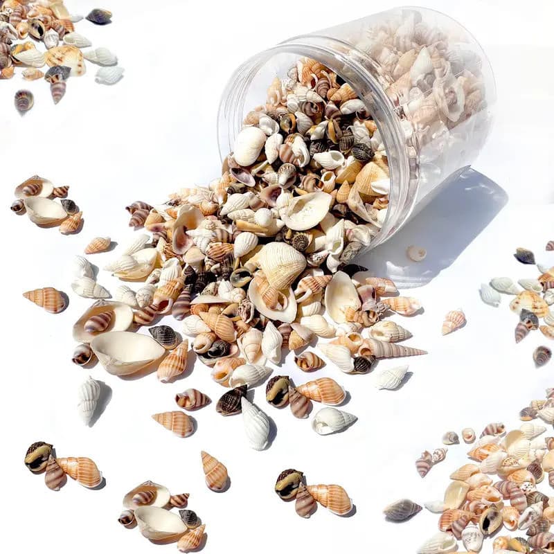 30g Pequenas Conchas Do Mar Misturadas Oceano Mini Em Massa Para Decoração De Casa Vaso De Tanque De Peixes