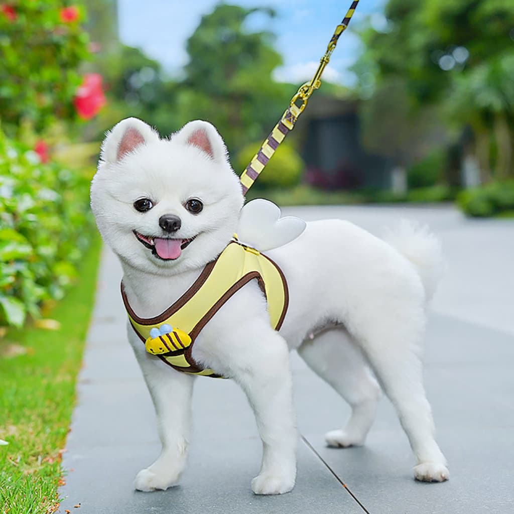 Arnês de Malha Abelha com Asas para Cães Pequenos e Conjunto de Guia, Perfeito para Animais de Estimação Fofos, Ideal pa