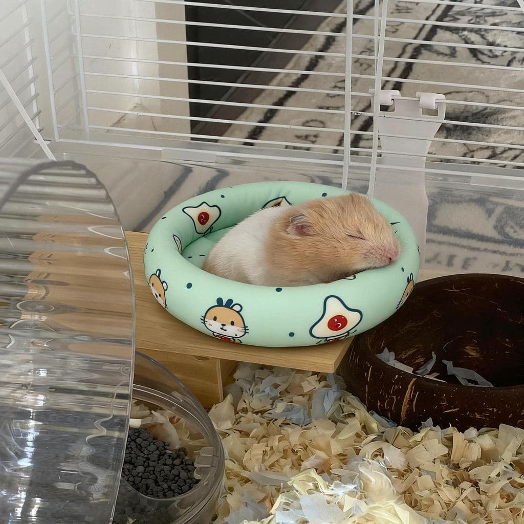 Tapete de ninho de Hamster, tapete legal de seda gelada, urso dourado, planador de mel, ninho de dormir especial, ferram