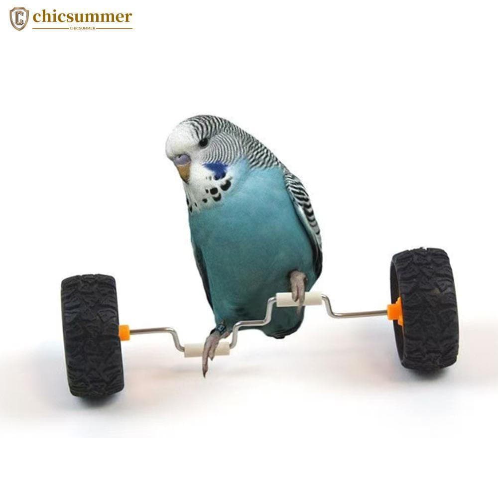 CHICSUMMER Carro De Equilíbrio De Pássaros Para Papagaios Brinquedo De Rolamento Operado Por Pés Anti-Doração Calopsitas