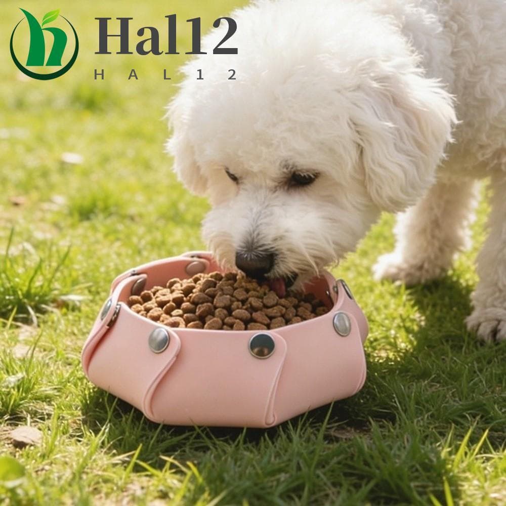 Tigela Dobrável Para Animais De Estimação HALB , Removível De Silicone Comida De Cachorro , Bandeja Hexagonal , Caixa De