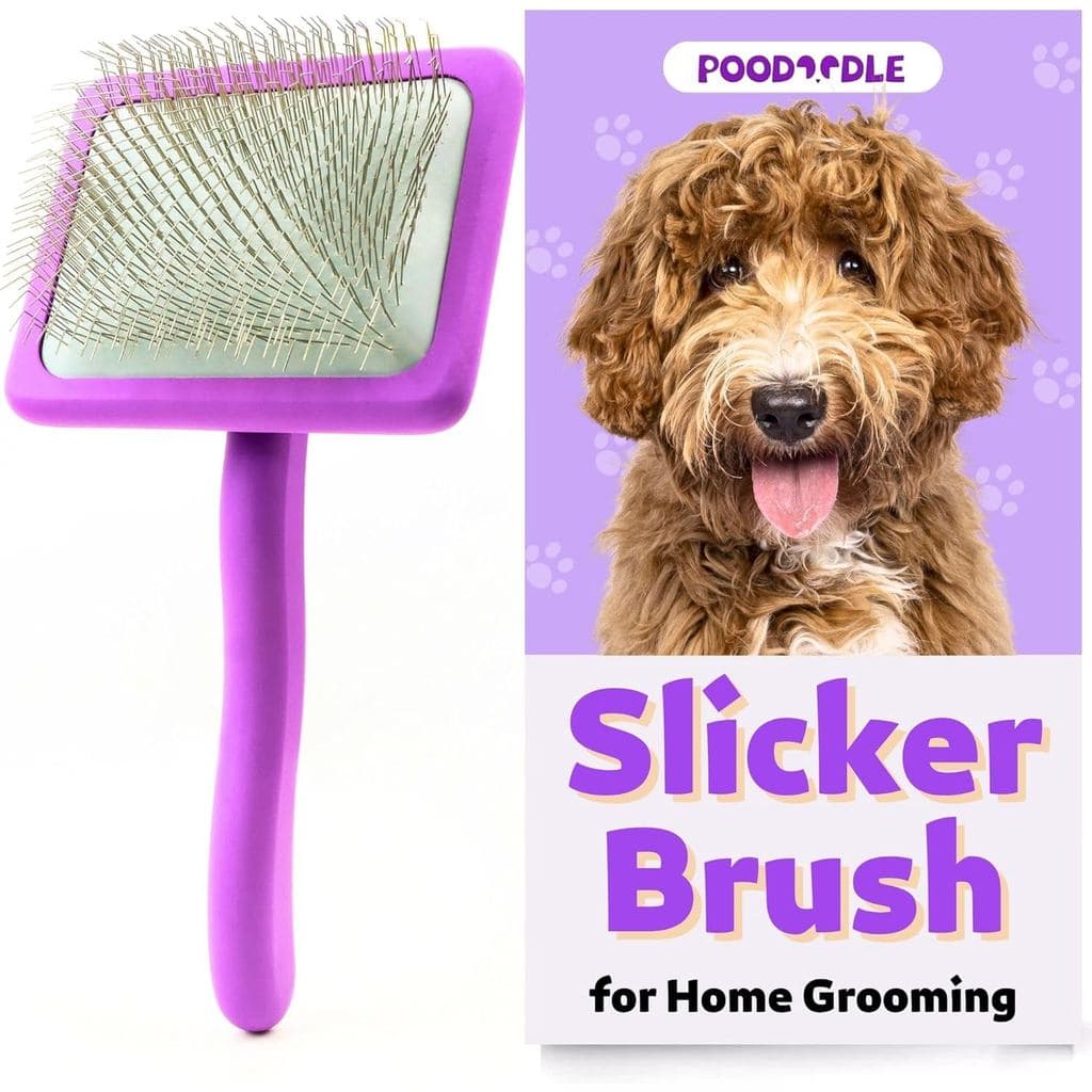 Escova Pequena para Desembaraçar, Roxa, Escova para Cães de Pelo Cacheado e Ondulado - Poodles, Doodles, Bichon, Cão da