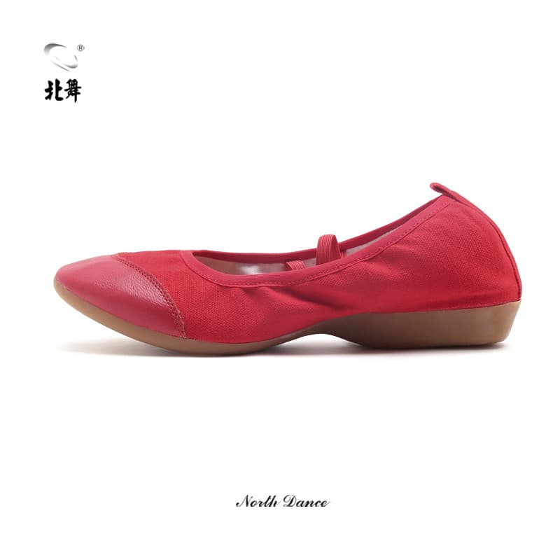 Sapatos de dança quadrada de dança do norte, salto baixo, feminino, adulto, quatro estações, sapatos de dança clássica,