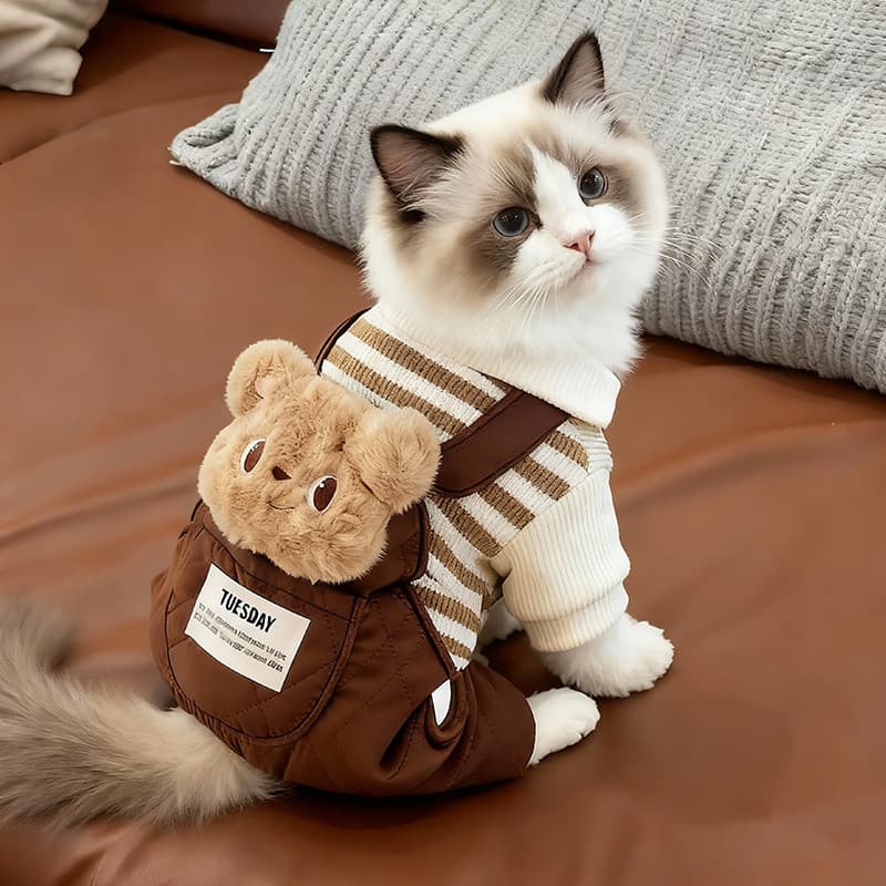Roupas de gato outono inverno estilo quente com capuz roupas de quatro pernas prata gradiente Muppet inglês curto filhot