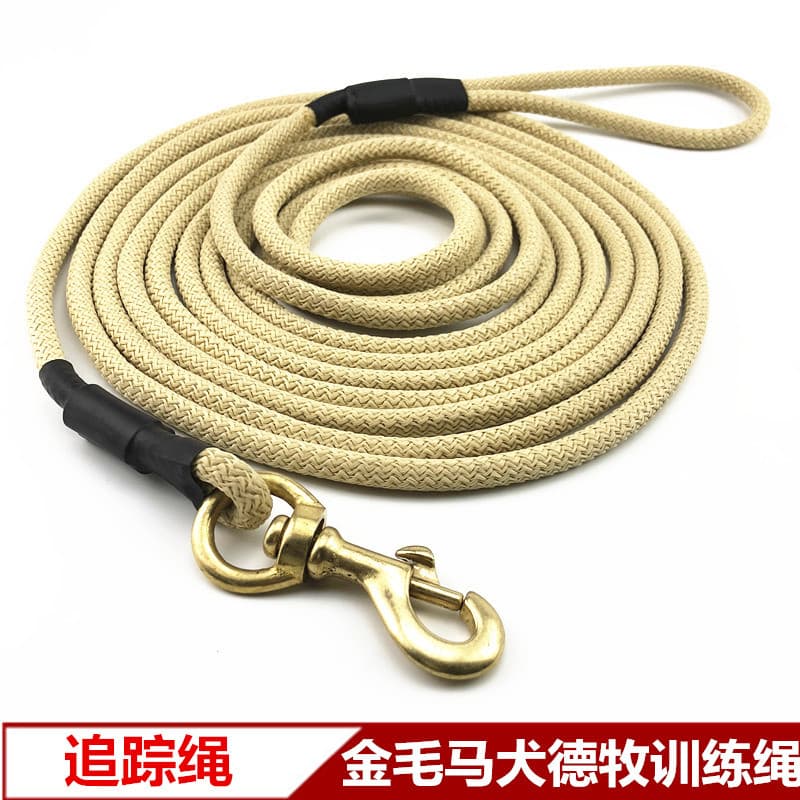 Coleira estendida para cães, tamanho médio, tamanho grande, Golden Retriever, treinamento, rastreamento, treinamento par