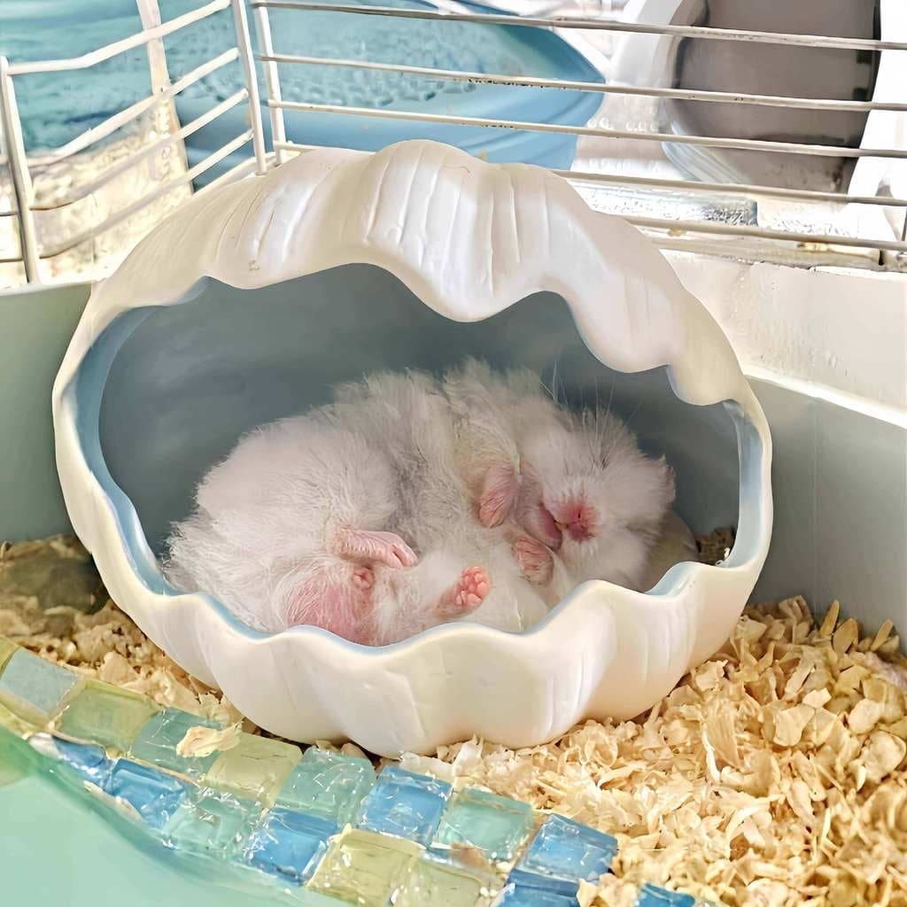 Shell hamster esconder casa quatro estações Universal urso dourado ninho de cerâmica ninho de hamster Peepable ninho de