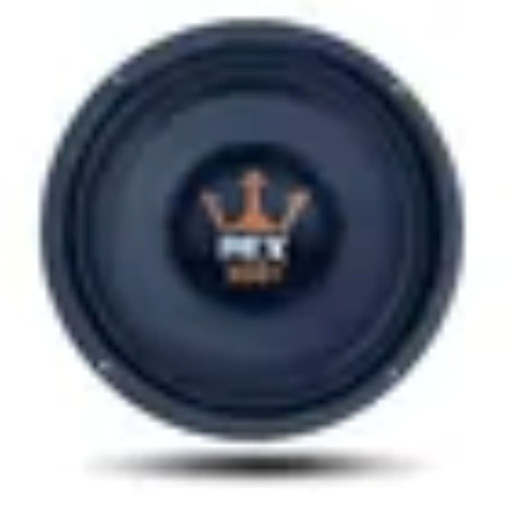Falante Woofer Médio Grave 10" 300W RMS Rex 300 Som Auto