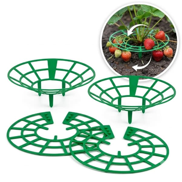 Kit 3 Suportes Para Morango Anti-Apodrecimento Protege Frutos