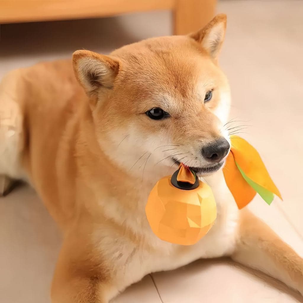 Brinquedo Pet Interativo Frutas Laranja Petisqueira Cachorro Recheável Porta Petisco Mordedor Cães