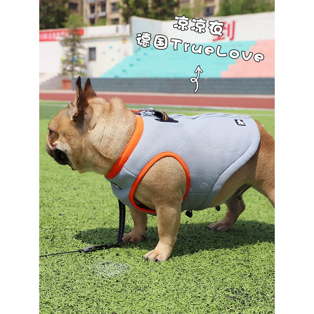 Truelove inverno verão dupla utilização luta francesa manter heróis quentes Pug Corgi cão animal de estimação roupas gro