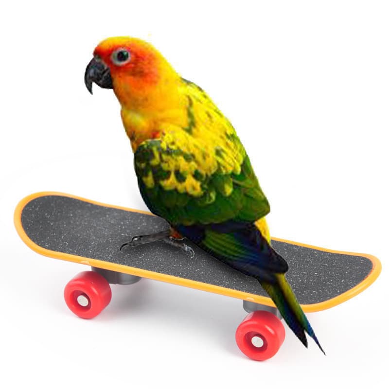 1 unidade de brinquedo de treinamento para papagaios em plástico, variedades sortidas - Para aves pequenas - Estimula o