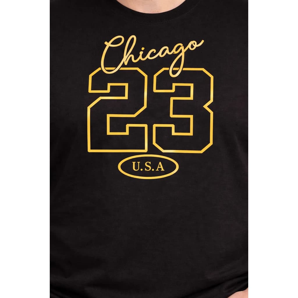 Camiseta Plus Size Estampada Chicago E Milano