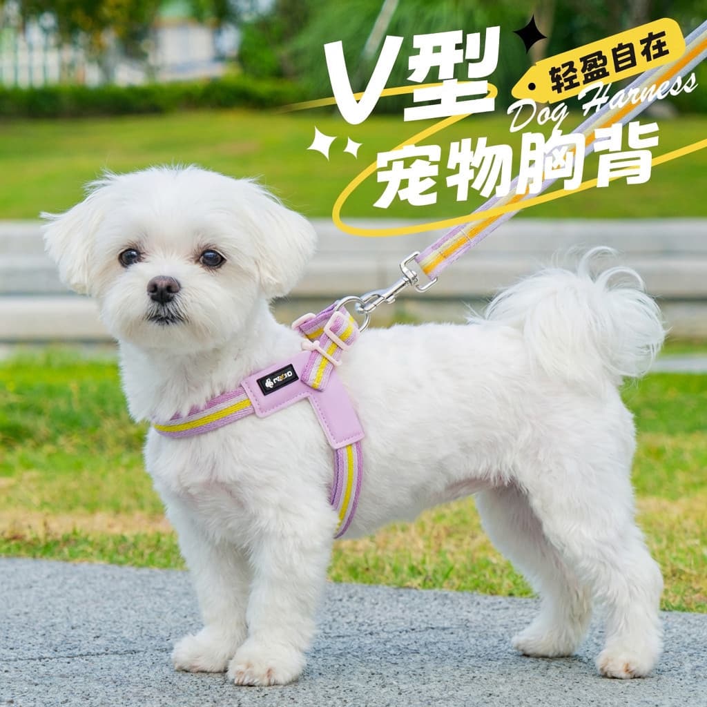 Coleira para cães pequenos em forma de Y, tipo costas, resistente a quebras, ajustável, para caminhada, viagem ao ar liv
