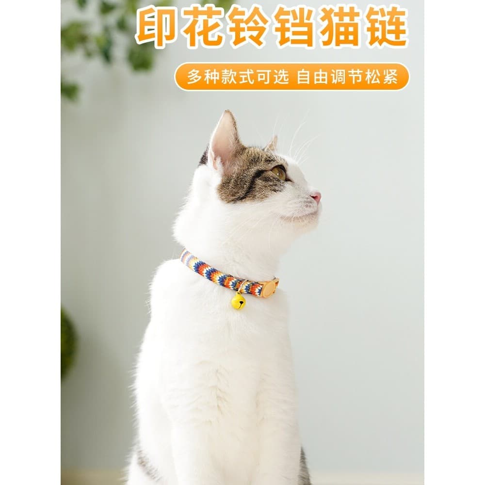 Coleira de gato com corrente de gato, coleira de cachorro com Design criativo, Anti-sufocação, fivela de segurança confo