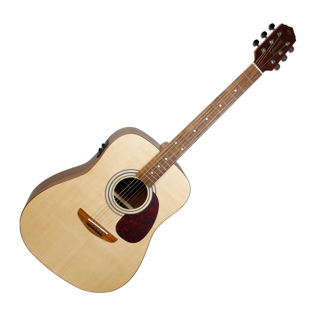 VIOLAO GIANNINI ELETRICO ARIZONA FISHMAN DG1 OPEN PORE -  NATURAL