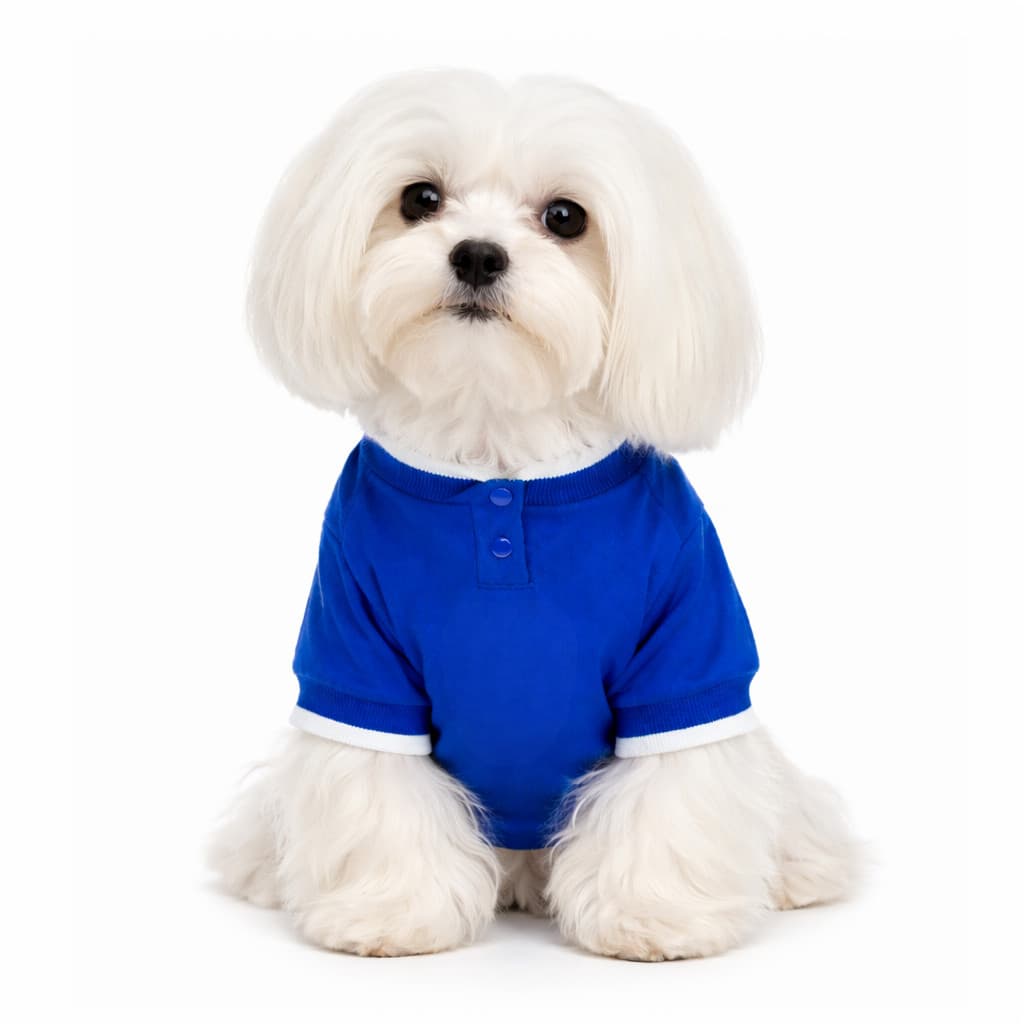 Camiseta Pet Azul Torcedor para Cachorros TAM 6