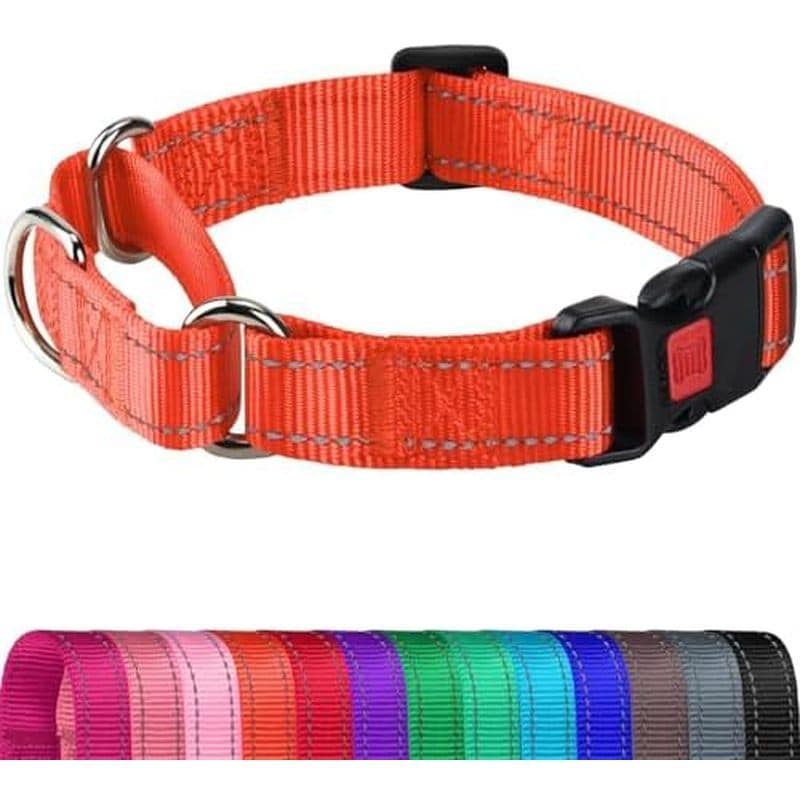 Coleira Joytale Martingale Para Cães , Coleiras Reflexivas Treinamento À Prova De Fuga Com Fivela De Trava De Segurança