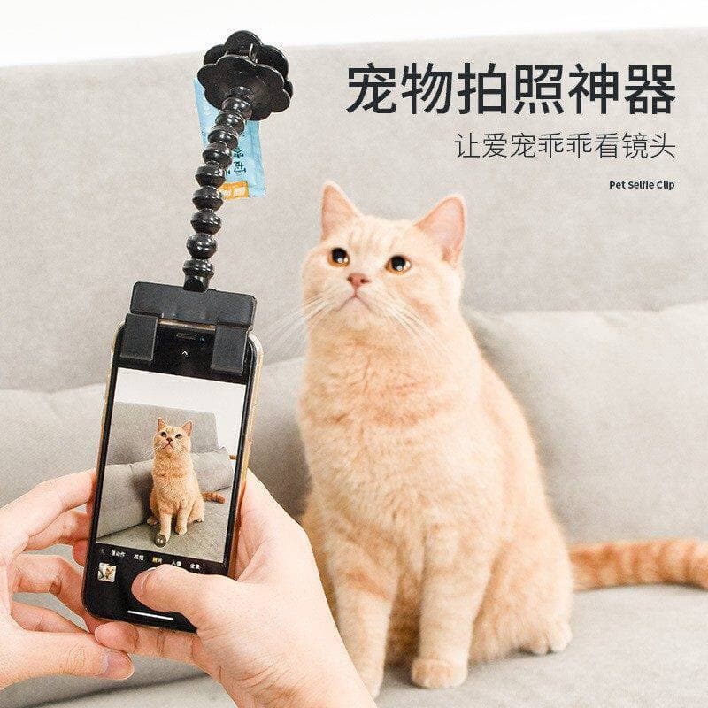 Pet selfie vara foto ferramenta útil gato cão olhar para a lente dispositivo selfie atrair atraente clipe lanche telefon