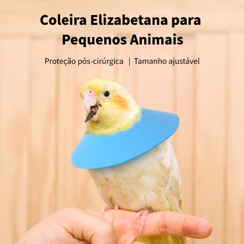 Jovens animais de estimação Elizabeth Ring Hamster Papagaio Coelho Meu Vizinho Totoro Coleira de gato Pós-operatório Ant