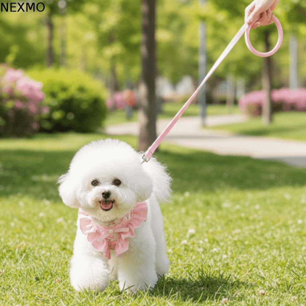 Arnês E Trela Para Cães NEXMO , Alça Peitoral Ajustável À Prova De Fuga , Corda De Caminhada Confortável Respirável Anim