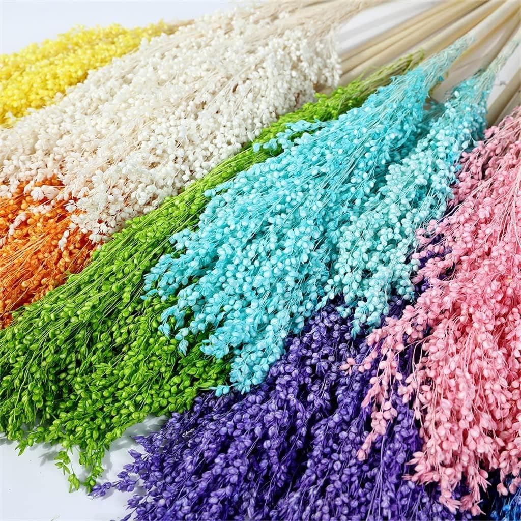 Flores Secas Naturais de Sorgo para Decoração de Casa e Arranjos de Casamento (Cinza)