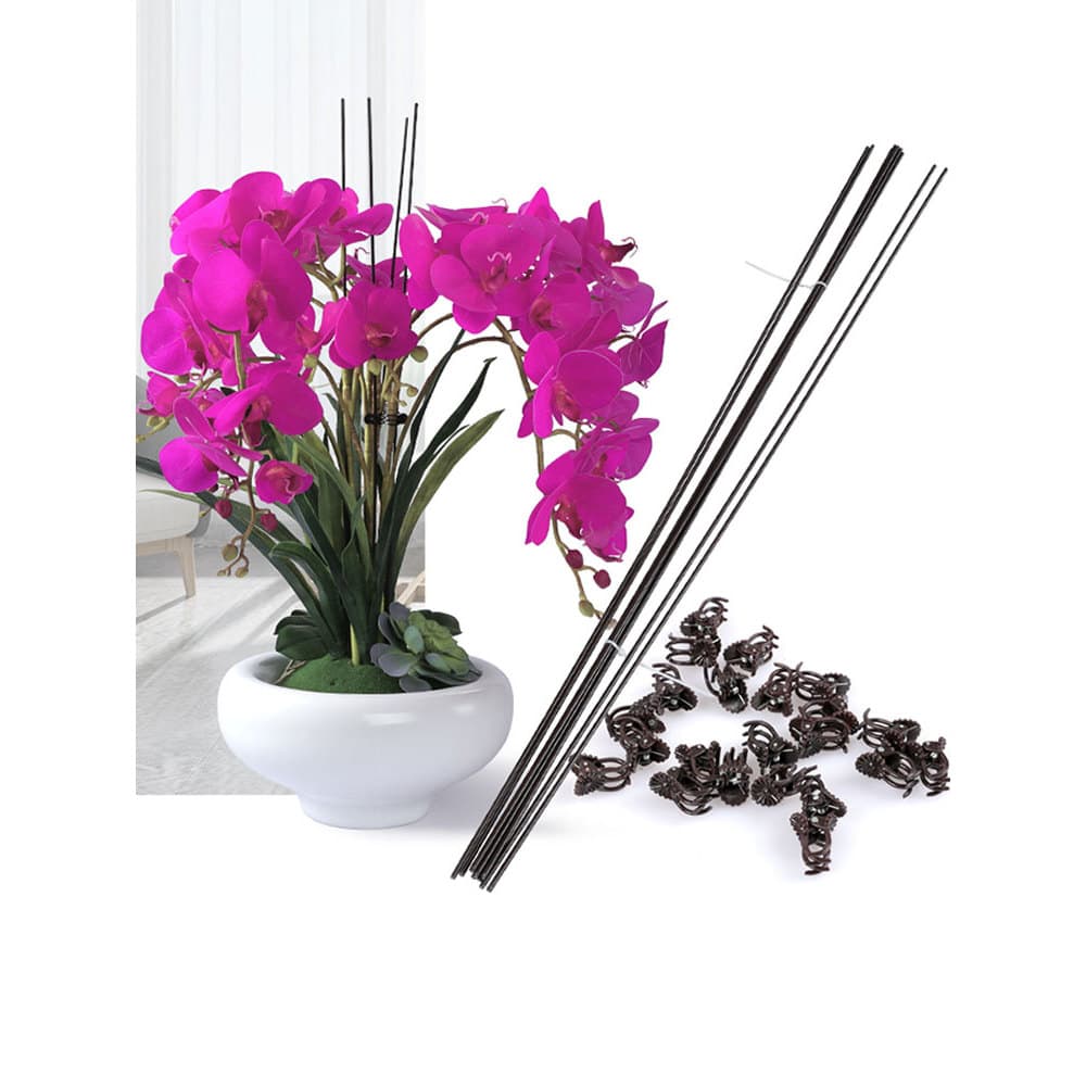 Phalaenopsis orquídea suporte flor planta suporte haste jardinagem ao ar livre Rattan escalada haste forma fixação clipe