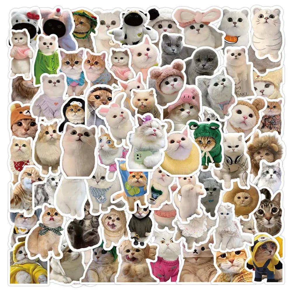 Adesivos de gato fofos e adoráveis, 100 peças aleatórias, adesivos criativos para telefones, laptops, skates, graffiti à