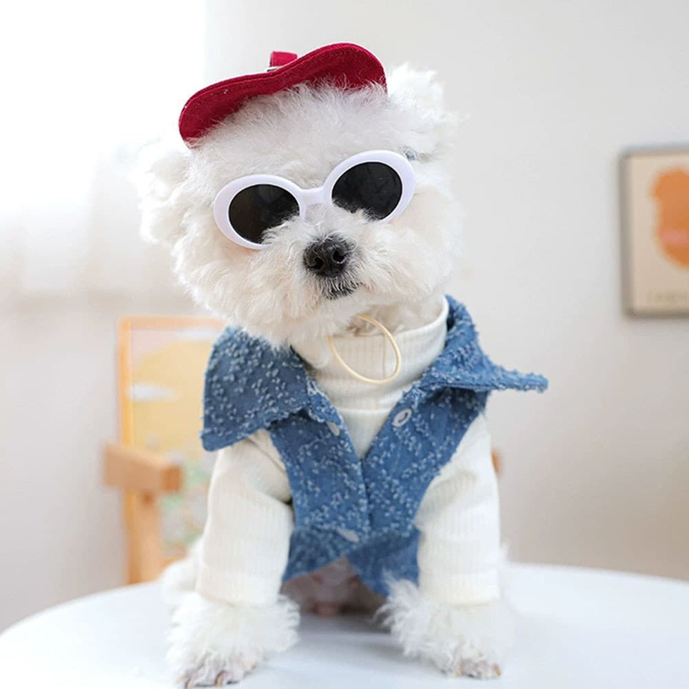 Boné Jeans Respirável Ajustável Para Cachorro Com Óculos De Sol Ao Ar Livre Chapéu Viseira Animais De Estimação De Duas