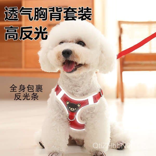 Coleira Peitoral Para Cachorro Cães Pequenos Teddy Bee Respirável Cabo Reboque