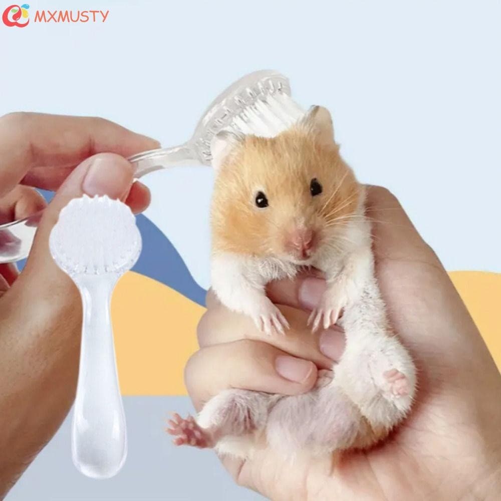 MXMUSTY Escova Pequena Para Hamster , De Banho De Ouriço De Cabeça Redonda De Plástico , Mini