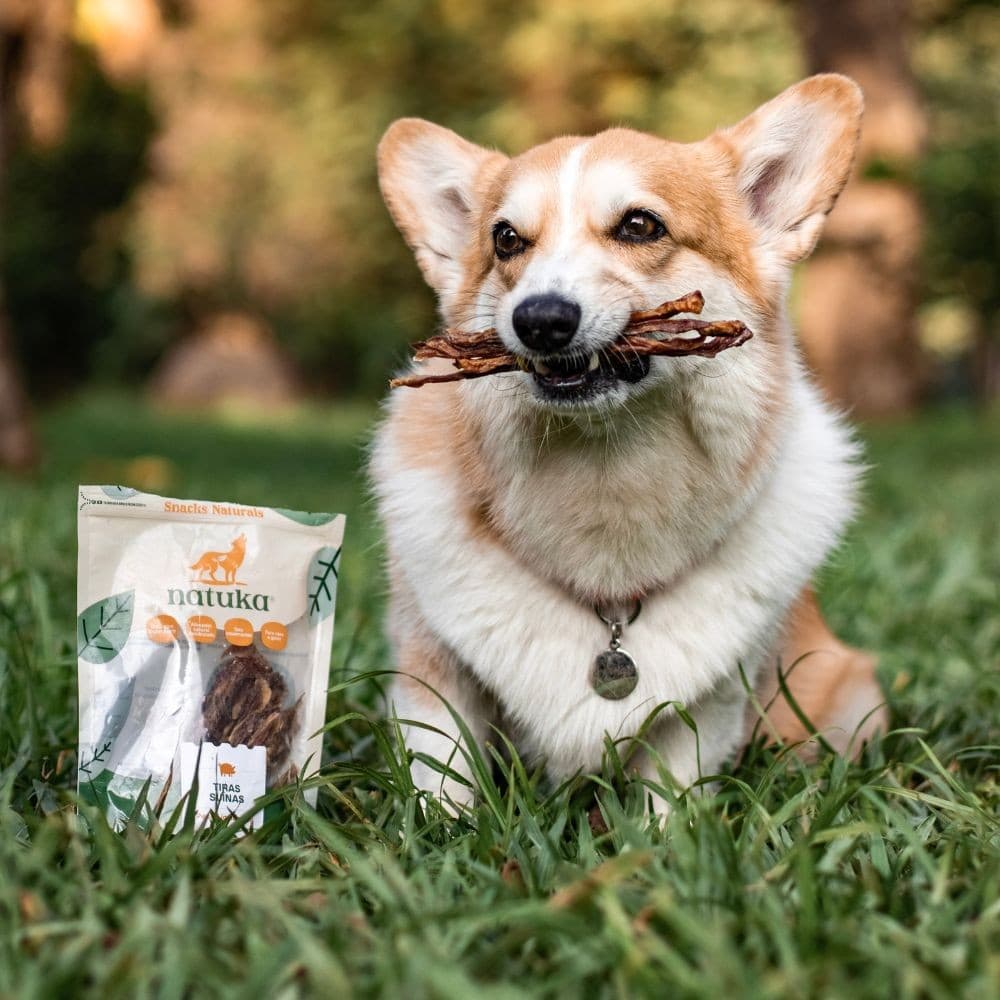 Tiras Suínas Petisco Natural para Cães e Gatos 60gr - Natuka