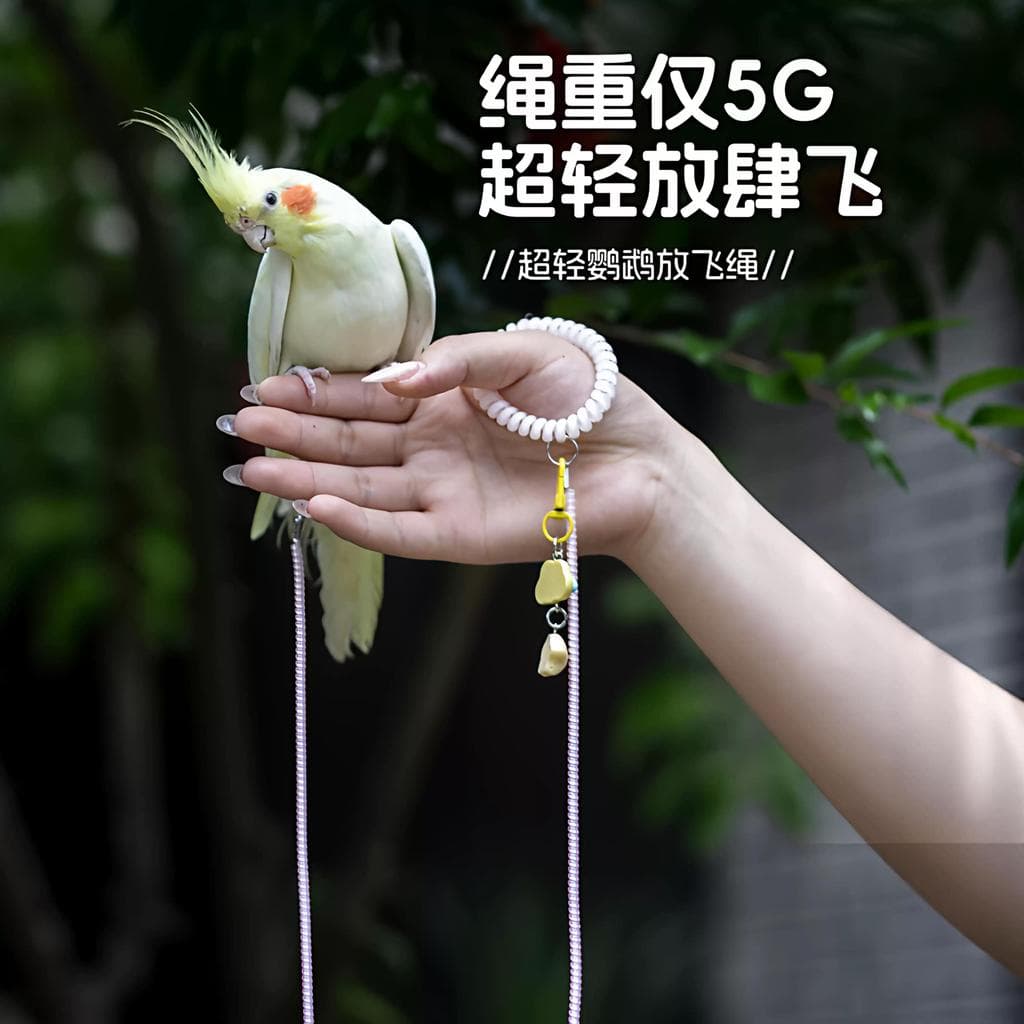 Papagaio voando corda Starling peônia Xuanfeng Outing pássaro andando ferramenta útil Ultra-leve não machuca os pés cord
