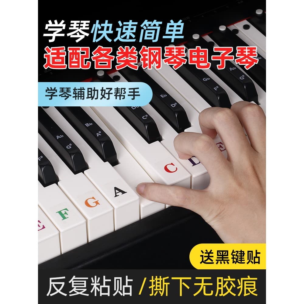 Piano teclado eletrônico teclado adesivo carta botão adesivo nota adesivo crianças iniciante mão rolo piano Universal sí