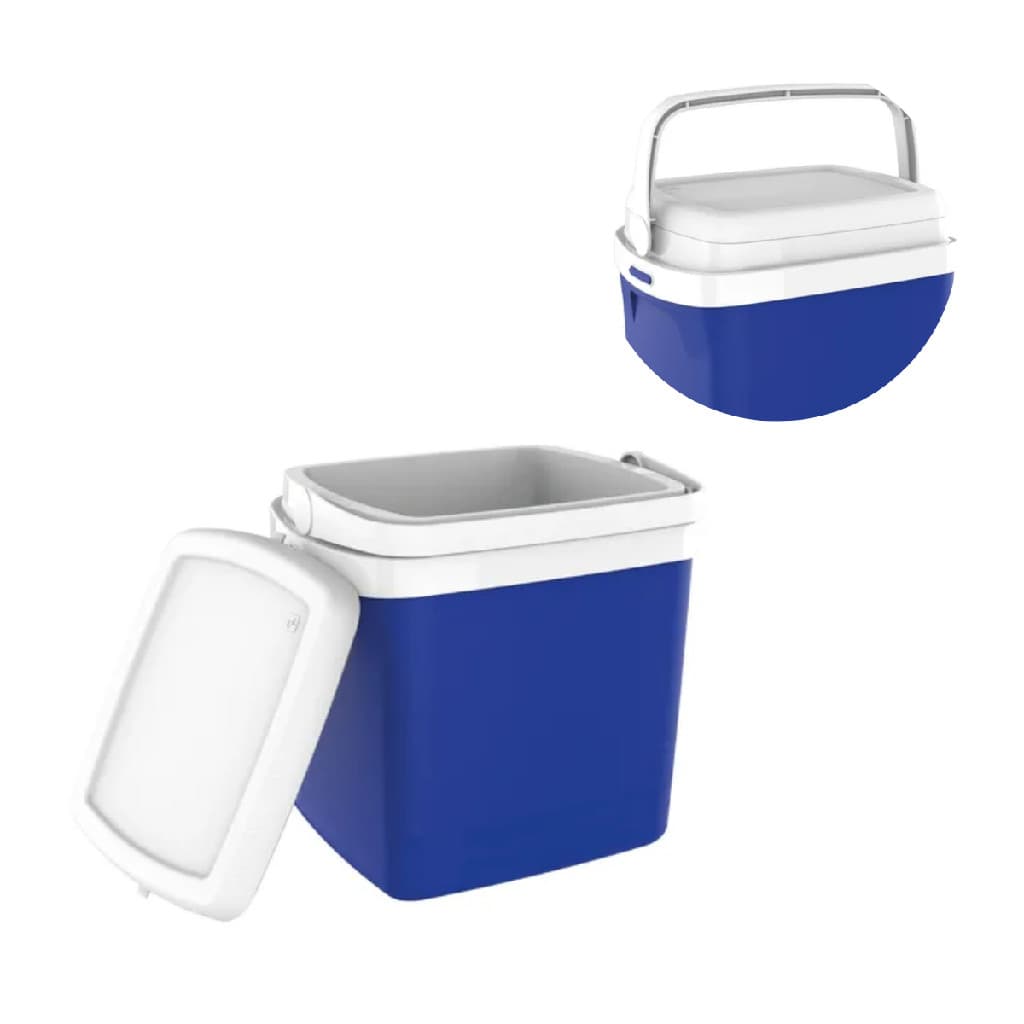 Caixa Termica Cooler Com Alça 22 Litros Praia Pesca Camping