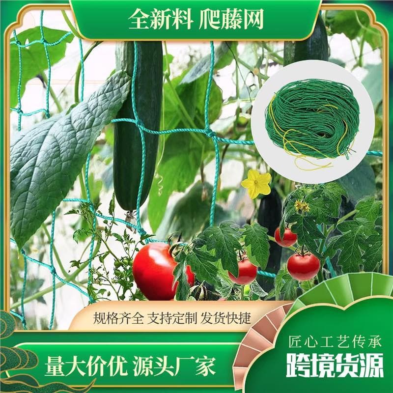 Quadro de rattan de escalada manhã uva doméstica escalada rattan net náilon rede pepino planta jardinagem aprimorada