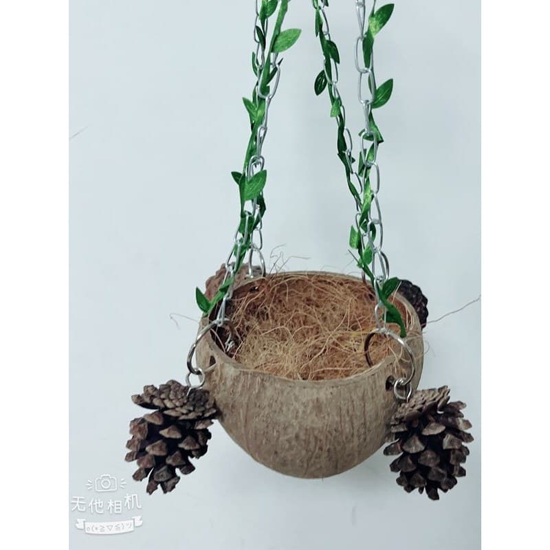 Casca de coco ninho de pássaro papagaio pendurado ninho pele de tigre peônia ninho de reprodução casa de pássaro ninho d