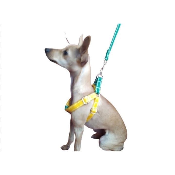 Peitoral Pet Americano