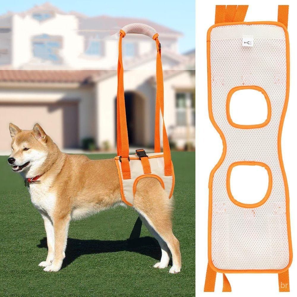 Cinto de suporte adaptado para animais de estimação com mobilidade limitada, usado para apoiar as patas traseiras e ajud