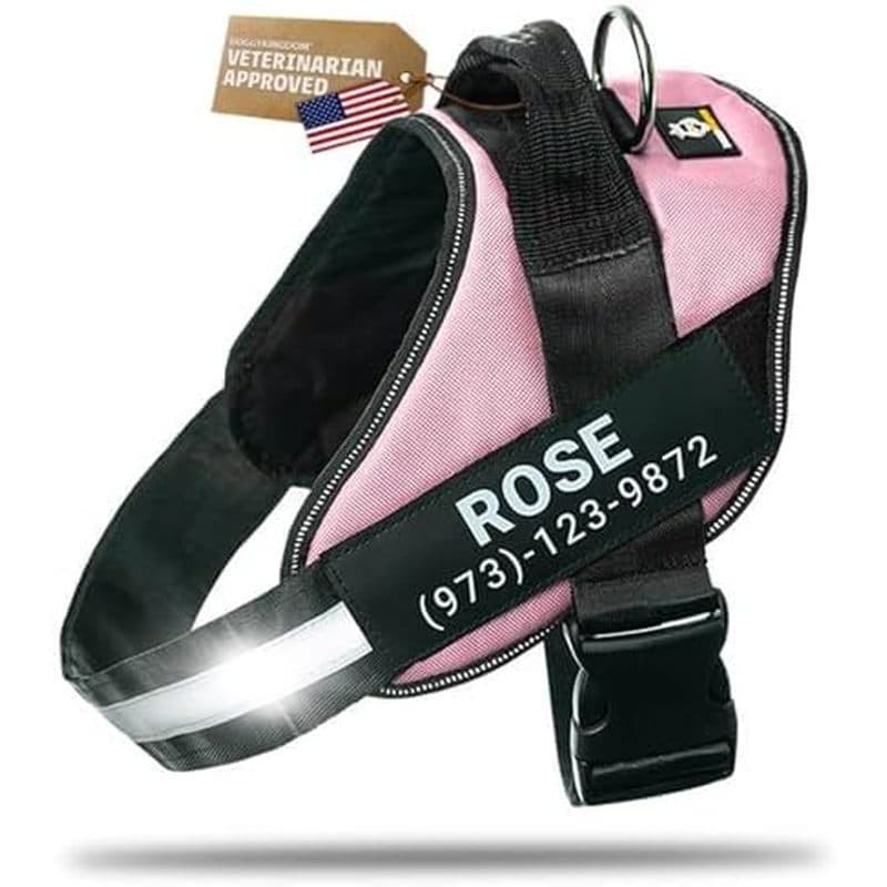 Arnês Para Cães Personalizado DOGGYKINGDOM Com Remendos De Nome Personalizados , Colete Reflexivo Ajustável Sem Estrangu