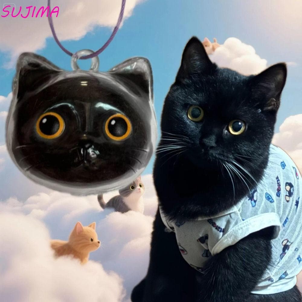 SUJIMA Chaveiro Acrílico De Cabelo De Gato , Caixa De Armazenamento Artesanal Em Formato De Animal , Pingente Pele De Ca