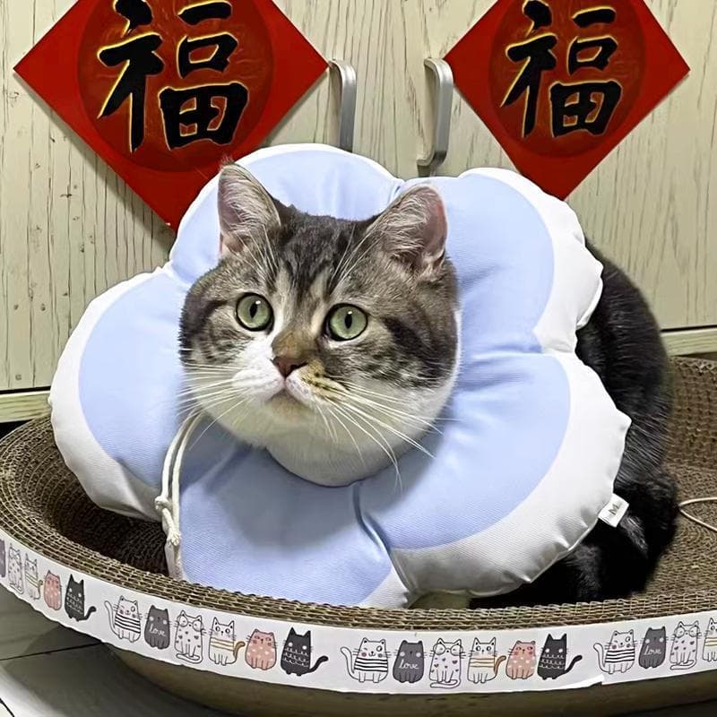 Gato Elizabeth anel anti-risco anti-mordida ajustável esterilização vergonha anel impermeável resistente à sujeira antia