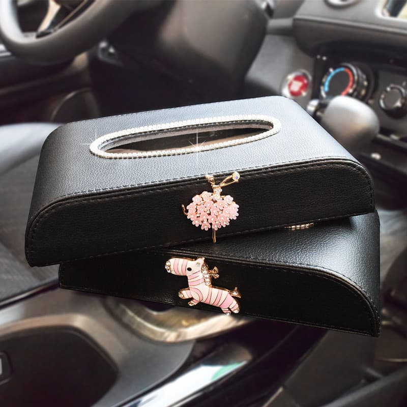 Carro Criativo Feminino