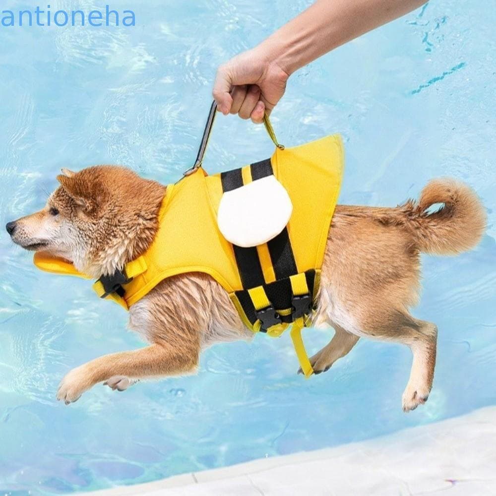 Colete Salva-Vidas Para Cães ANTIONEHA , Maiô Ajustável De Desenho Animado , Traje De Natação De Alta Flutuabilidade À P