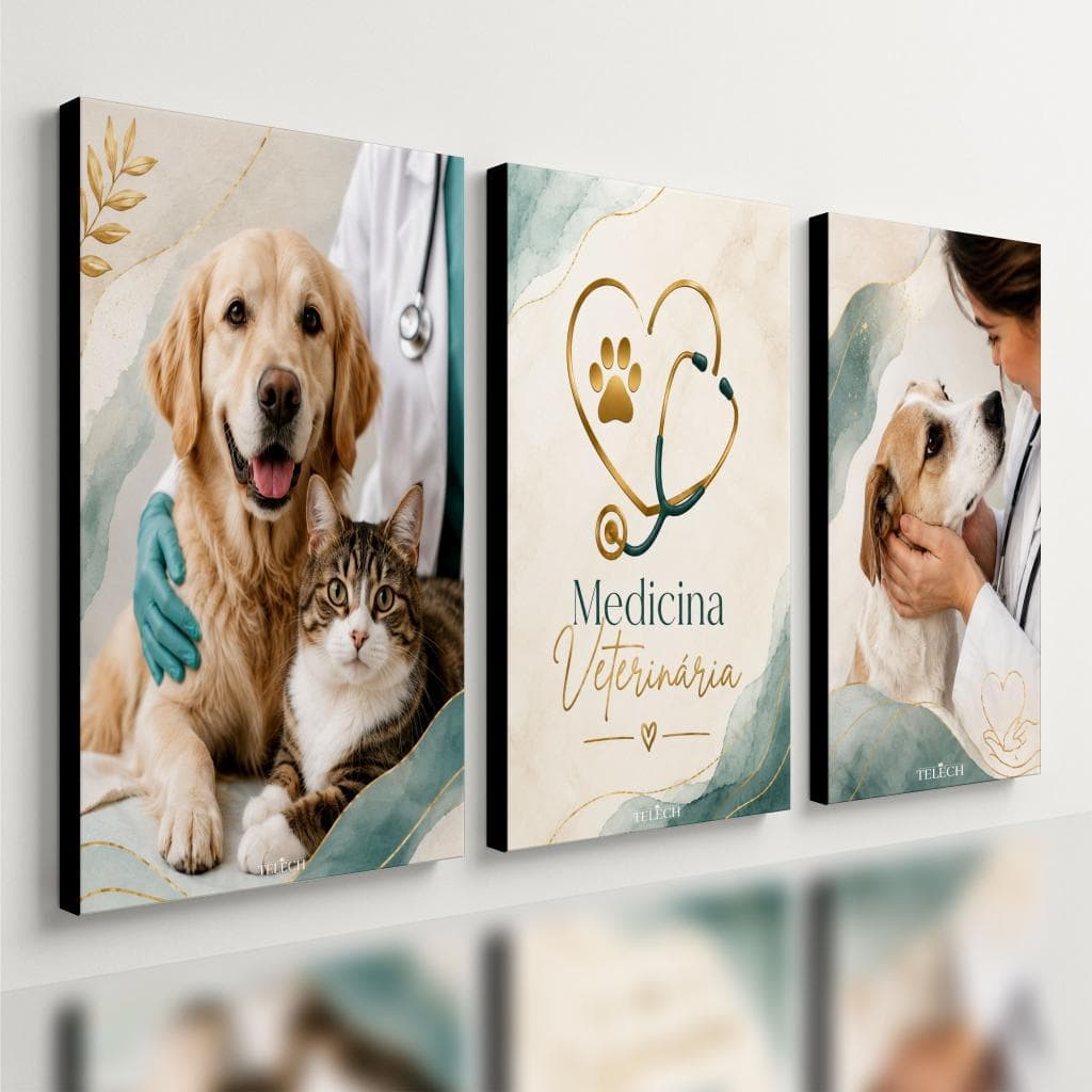 Kit3 Quadro Decorativo Medicina Veterinária Clínica Pet e2