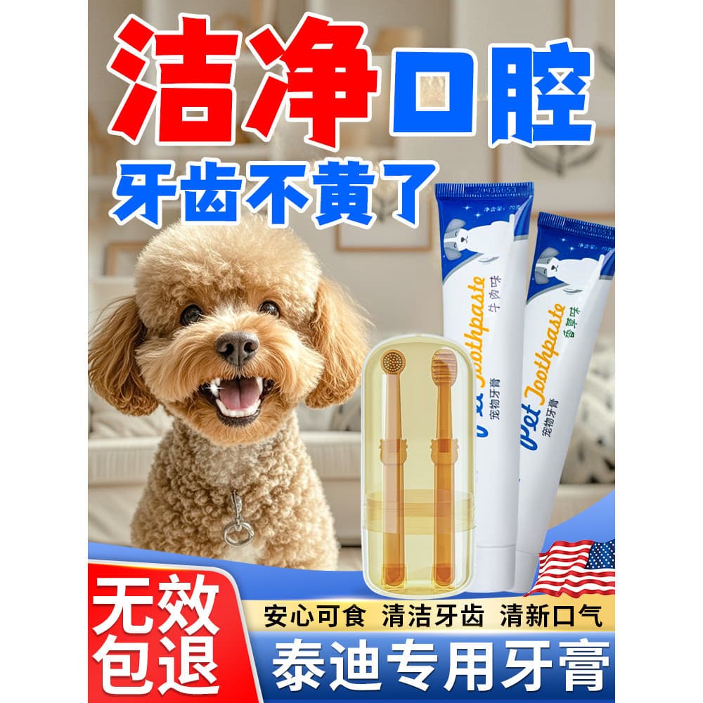 Conjunto de escova de dentes dedicada para pasta de dentes, ferramenta de escovação para cães pequenos, cuidados de limp