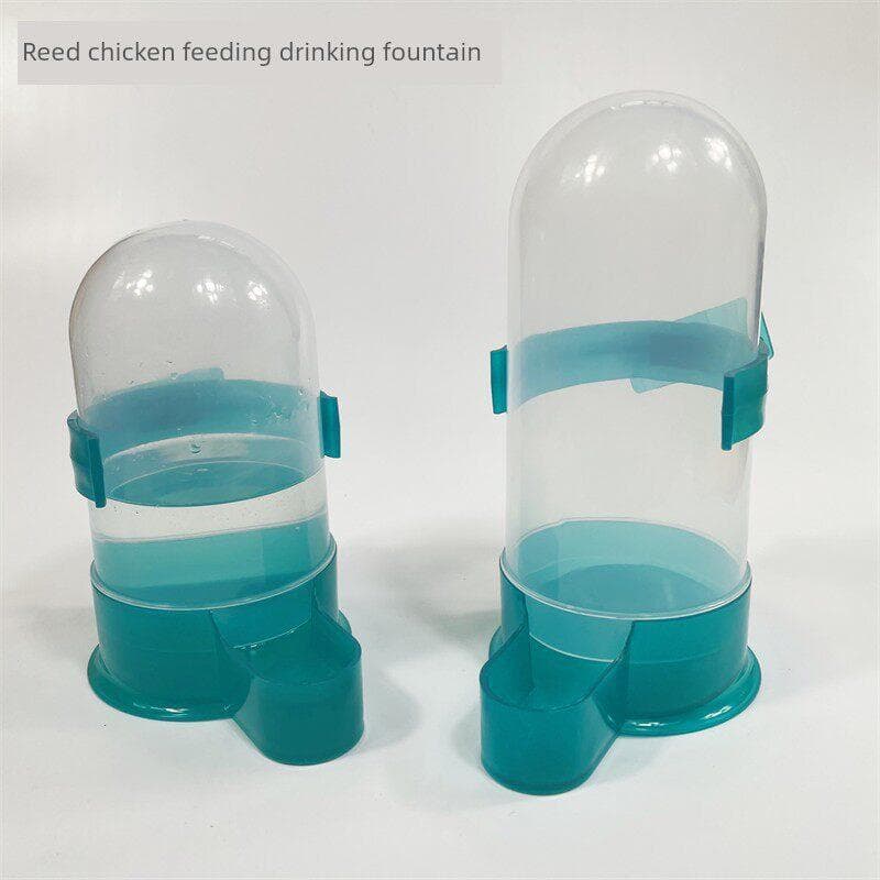 Dispensador de água para pombos, chaleira de alimentação automática, suprimentos para pombos, utensílios, papagaio, alim