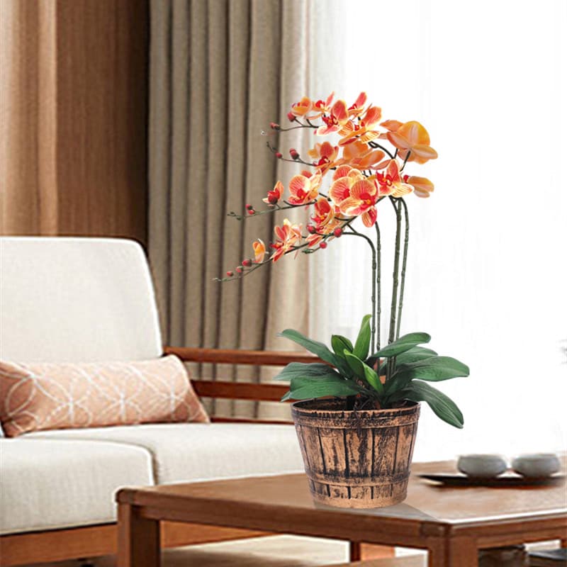 Hejia alta simulação sentir Phalaenopsis conjunto decoração Floral sala de estar vaso planta decoração flor entrada do p